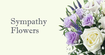 Paddington Sympathy Flowers