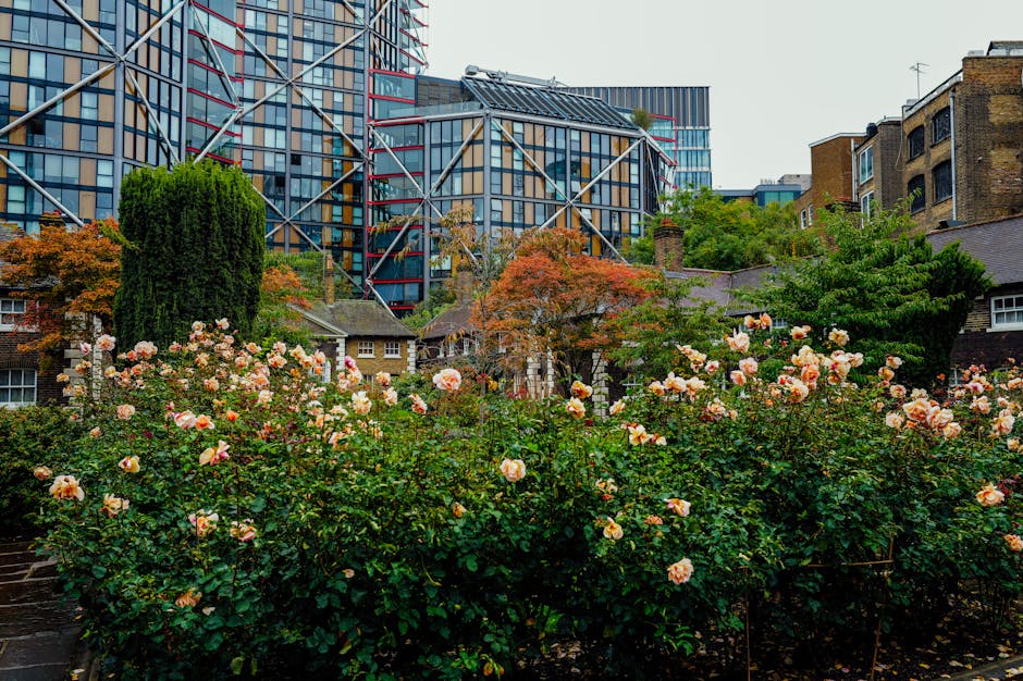 A vibrant garden of blooming roses in shades of pink, peach, and cream, arranged in dense clusters with lush green foliage. The roses are in full bloom, displaying layered petals with a soft, velvety 