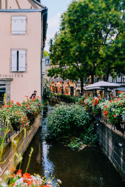 A scenic view of the Little Venice canalside with lush green trees and vibrant flower arrangements in shades of red, orange, and white adorning black wrought iron railings alongside the narrow waterwa