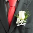 WHITE ROSE BUTTONHOLE 2